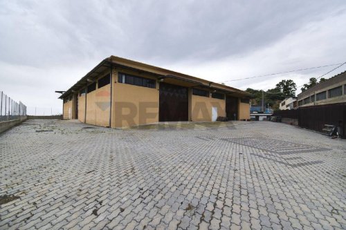 莫塔-圣阿纳斯塔西娅商业房产