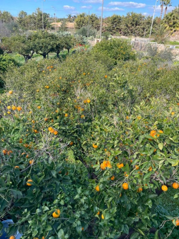 Hus på landet i Scicli