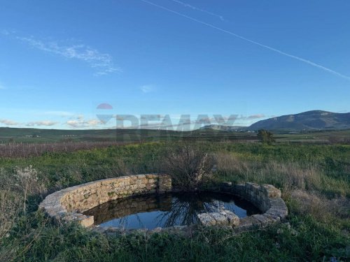 Terreno agrícola en Trapani