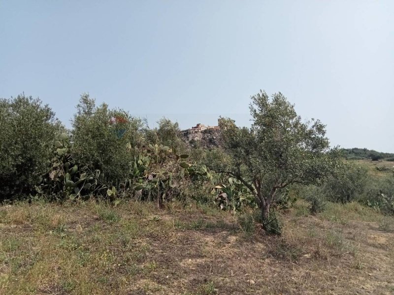 莫塔-圣阿纳斯塔西娅农用土地