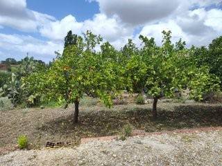Bouwgrond in Trapani