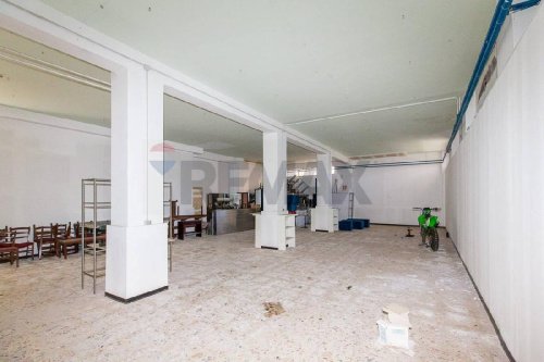Коммерческая недвижимость в Сан-Григорио-дель-Катании