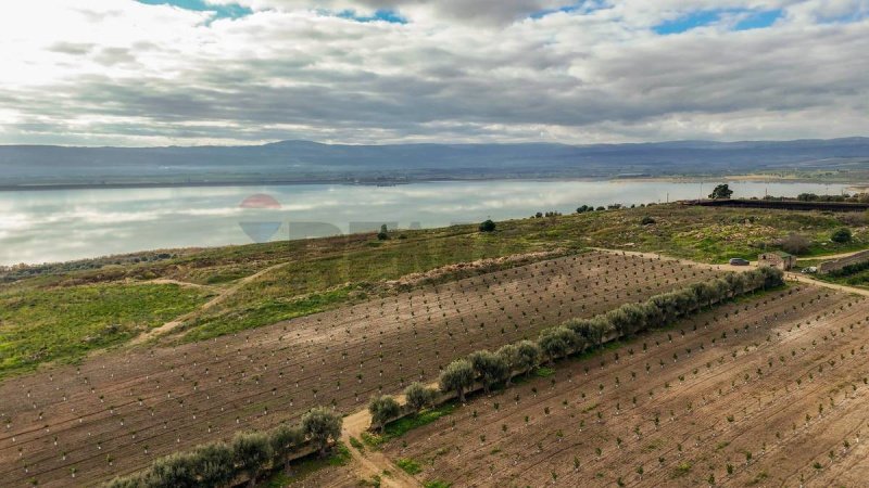 Landwirtschaftliche Fläche in Lentini