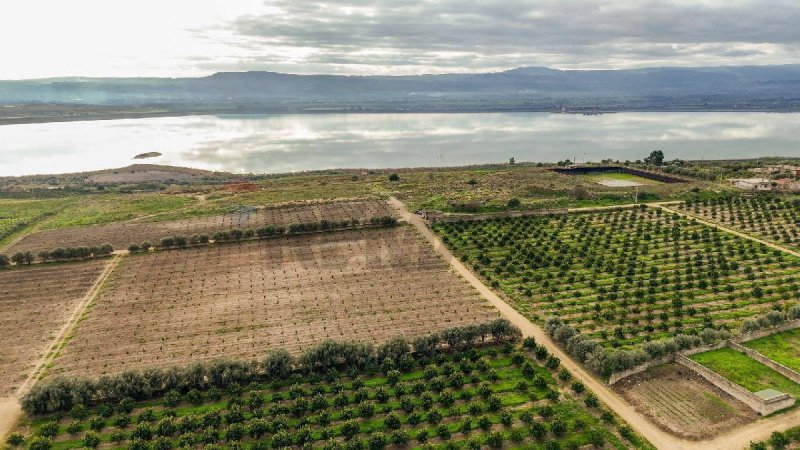 Landwirtschaftliche Fläche in Lentini