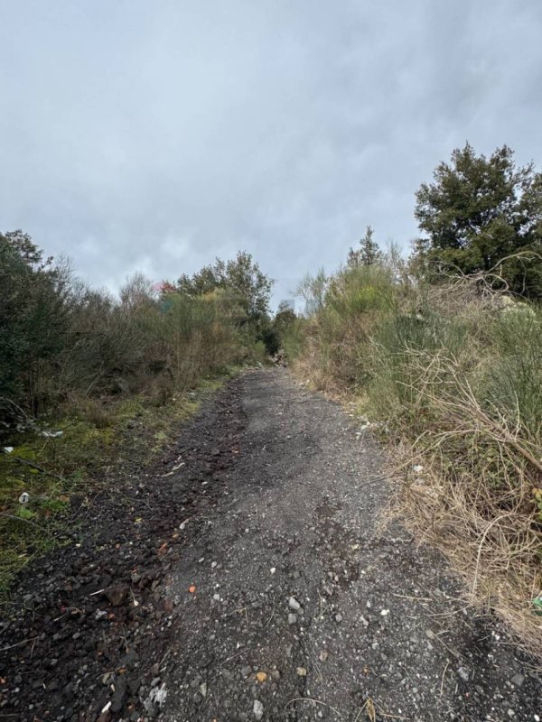 Terreno agrícola en Pedara