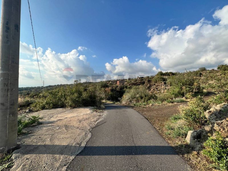 Сельскохозяйственный участок в Рагальна