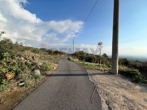 Сельскохозяйственный участок в Рагальна