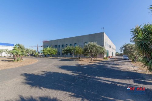 卡塔尼亞商业房产