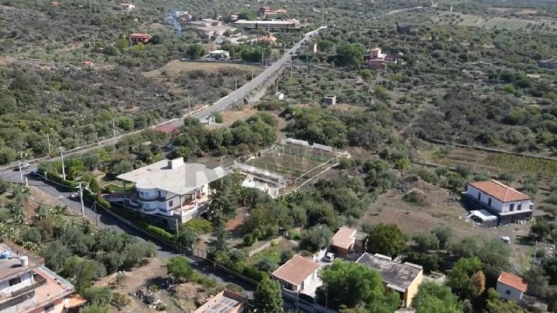 帕泰尔诺农用土地