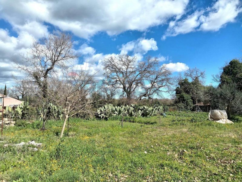 Jordbruksmark i Palazzolo Acreide