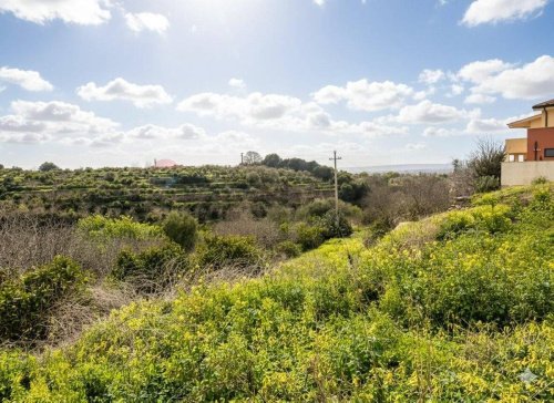 Building plot in Carlentini