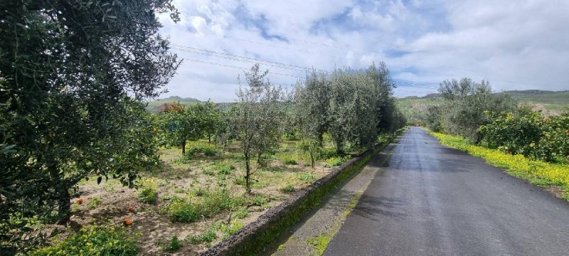 Сельскохозяйственный участок в Патерно