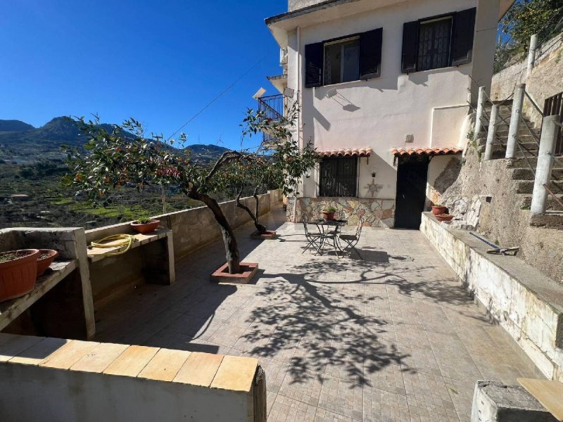 蒙雷阿莱半独立房屋