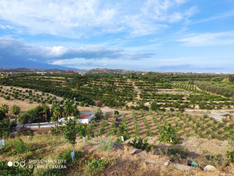 Landbouwgrond in Misterbianco