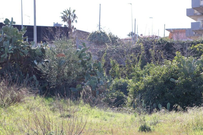 Terreno agricolo a Mascali