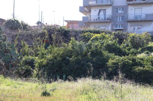 Terreno agricolo a Mascali