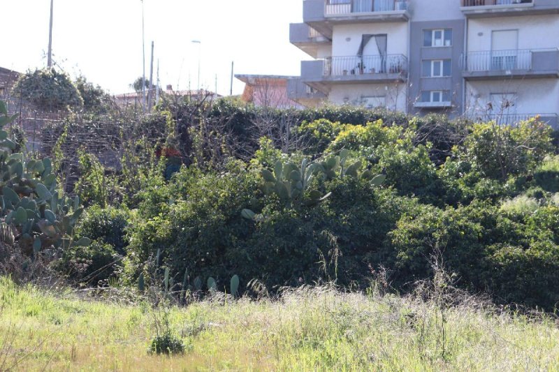 Agricultural land for sale in Mascali [808372] | Gate-away®