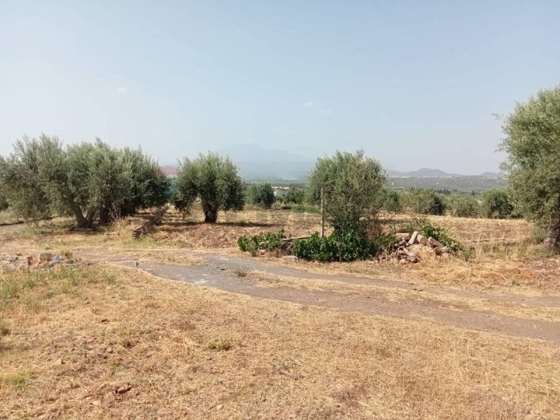 Landbouwgrond in Belpasso