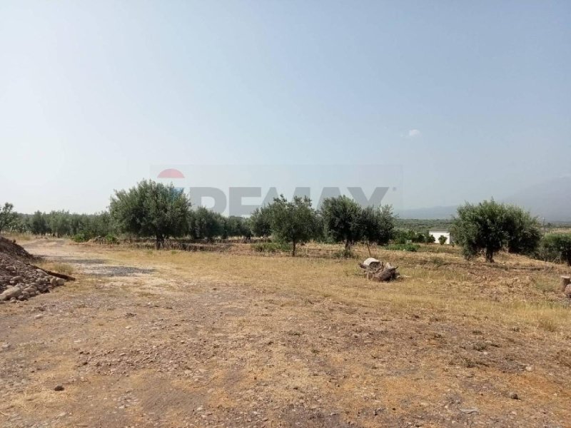 Agricultural land for sale in Belpasso [808982] | Gate-away®