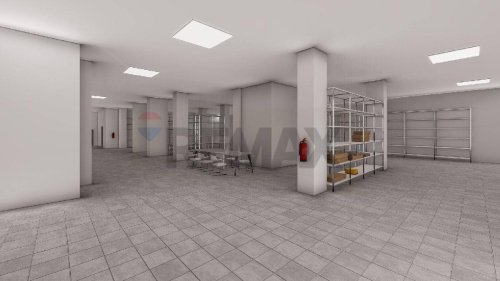 卡塔尼亞商业房产