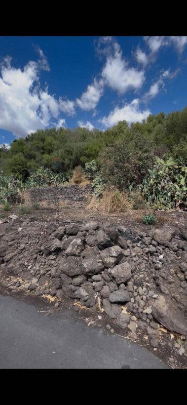 Jordbruksmark i Misterbianco