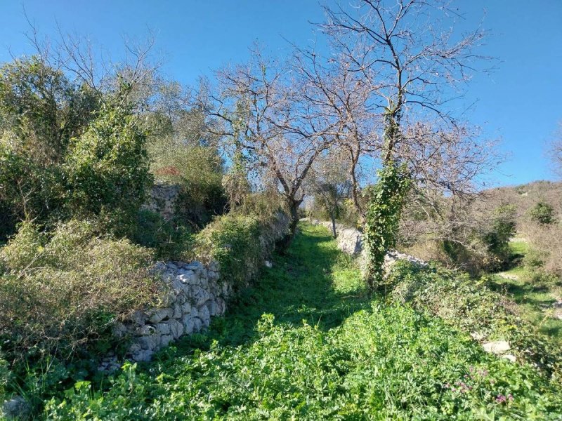 Сельскохозяйственный участок в Модика