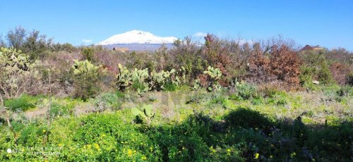Terreno agrícola en Paternò
