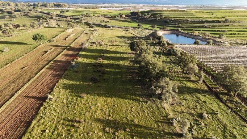 Terreno agrícola em Caltagirone