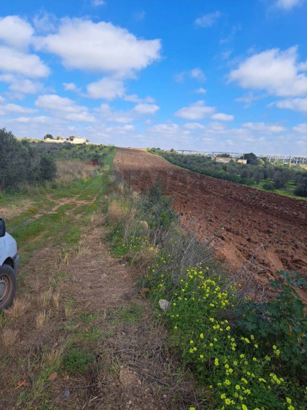 Agricultural land in Mazara del Vallo
