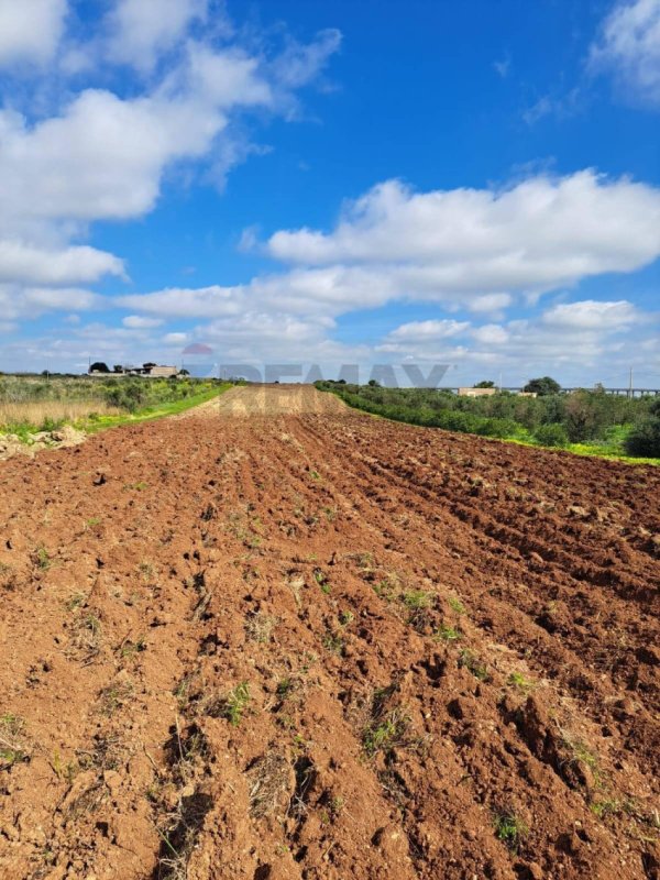 Agricultural land in Mazara del Vallo