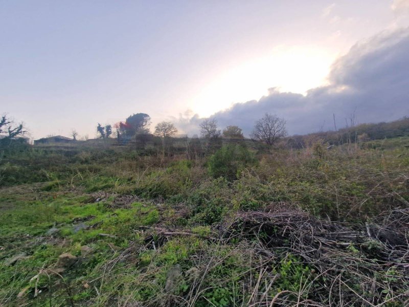 Сельскохозяйственный участок в Санта-Венерина