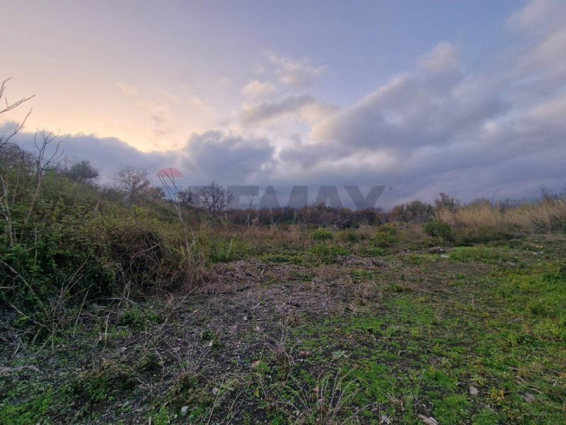 Сельскохозяйственный участок в Санта-Венерина