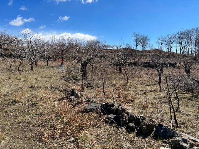 Terreno agrícola em Biancavilla