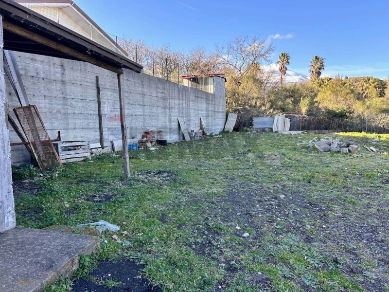 Agricultural land in Pedara
