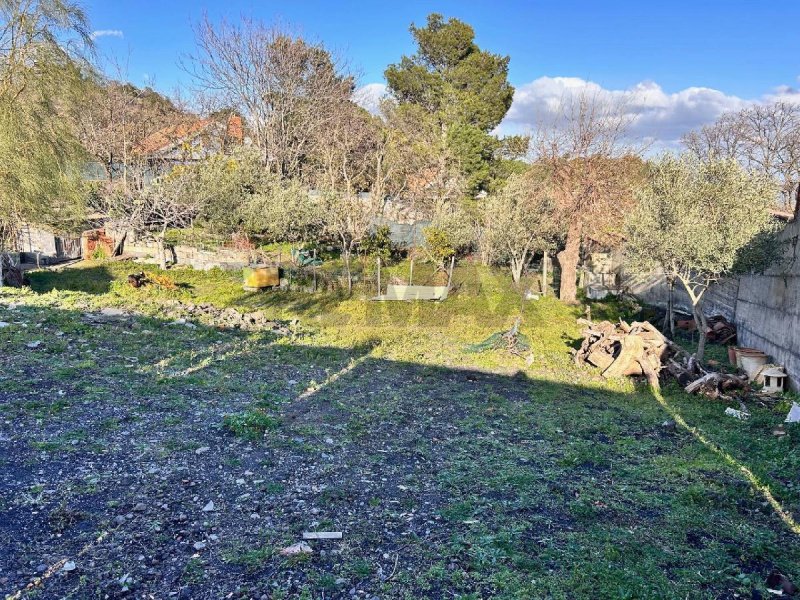 Agricultural land in Pedara