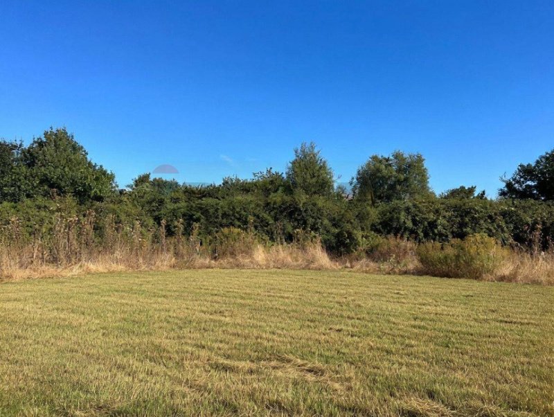 Terreno agrícola en Castiglione di Sicilia