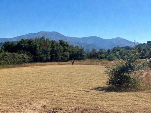 Terreno agrícola en Castiglione di Sicilia