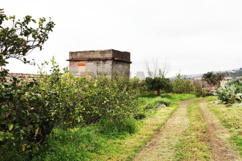 Agricultural land for sale in Fiumefreddo Di Sicilia [811742] | Gate-away®