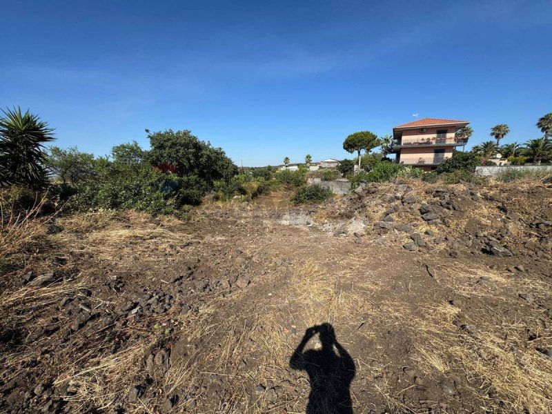 Terreno agrícola em Mascalucia