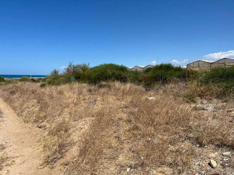 Terrain agricole à Vittoria