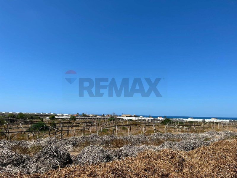 Agricultural land for sale in Vittoria [812020] | Gate-away®