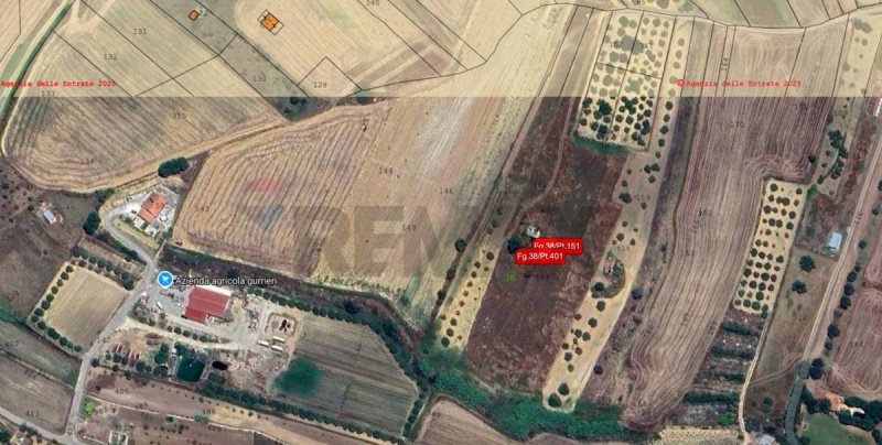 Landbouwgrond in Grammichele