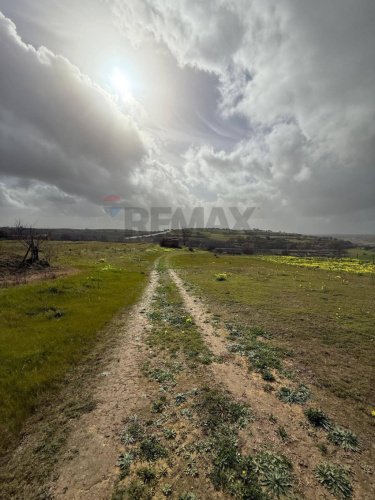 Landbouwgrond in Grammichele