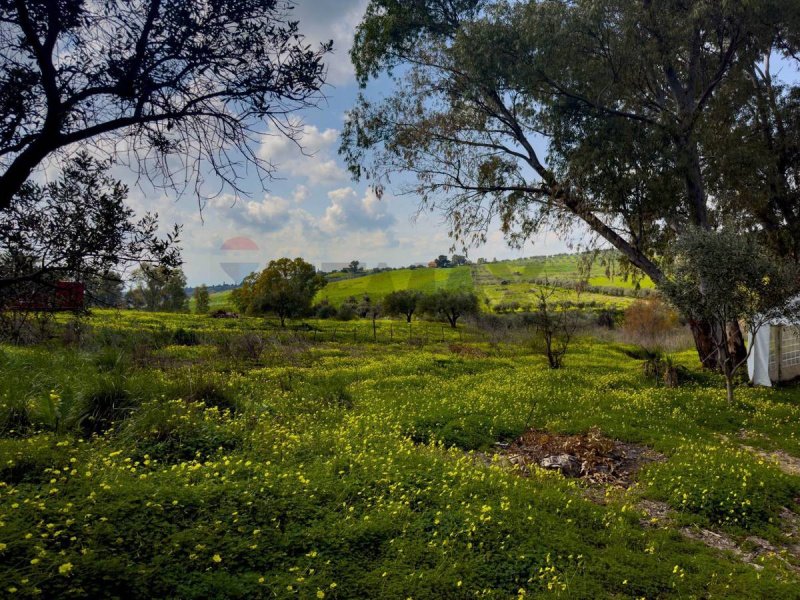 Country house in Motta Sant'Anastasia