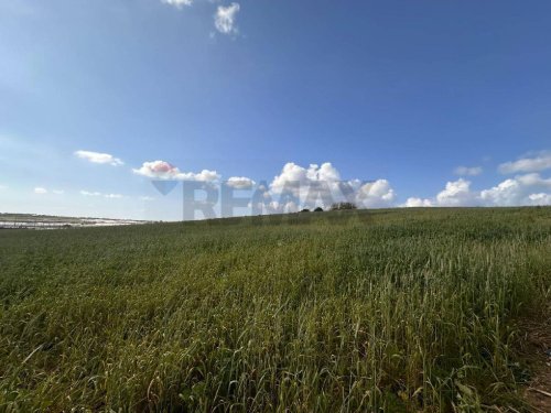 Agricultural land in Pachino