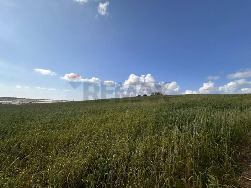 Agricultural land for sale in Pachino [812676] | Gate-away®