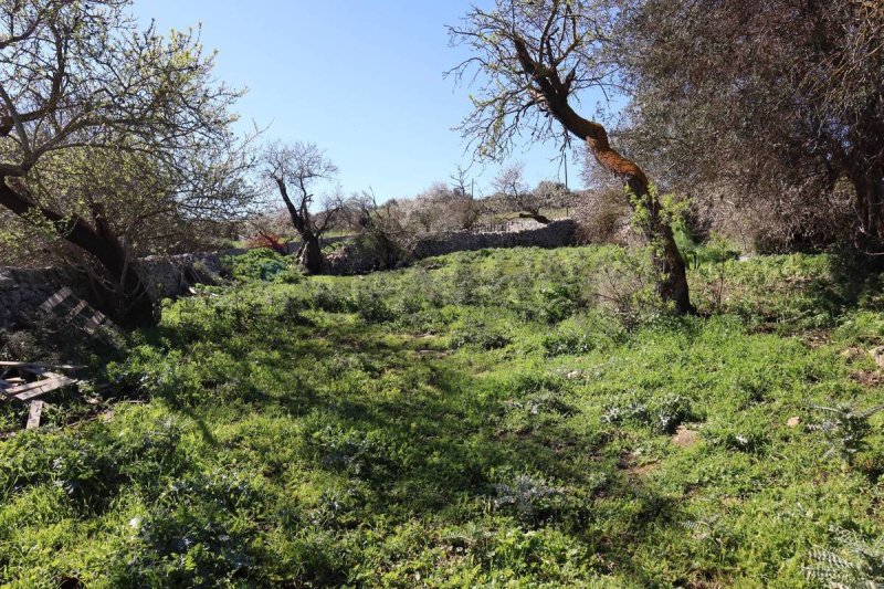 Landwirtschaftliche Fläche in Ragusa
