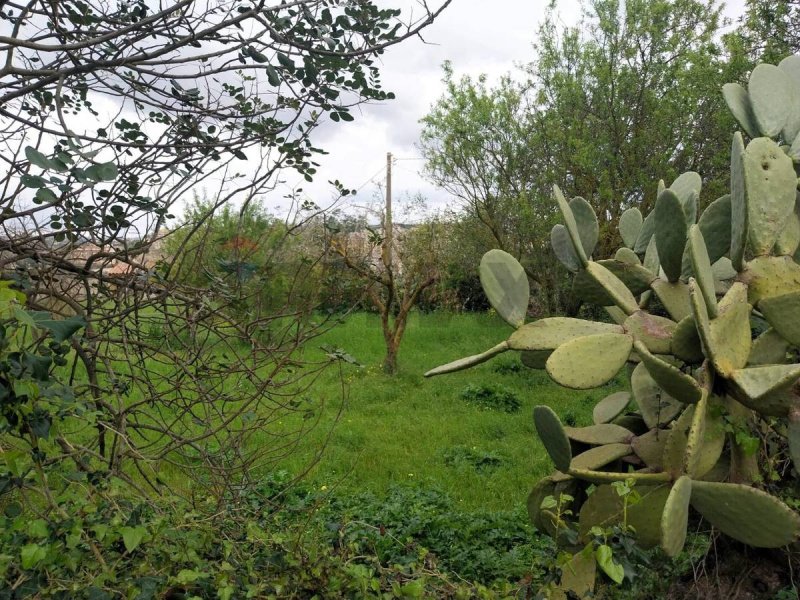 Terrain agricole à Modica