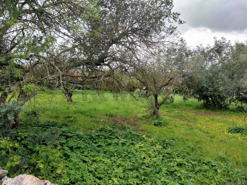 Terreno agrícola en Modica