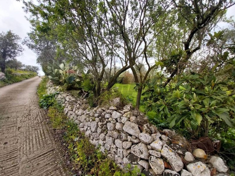 Jordbruksmark i Modica